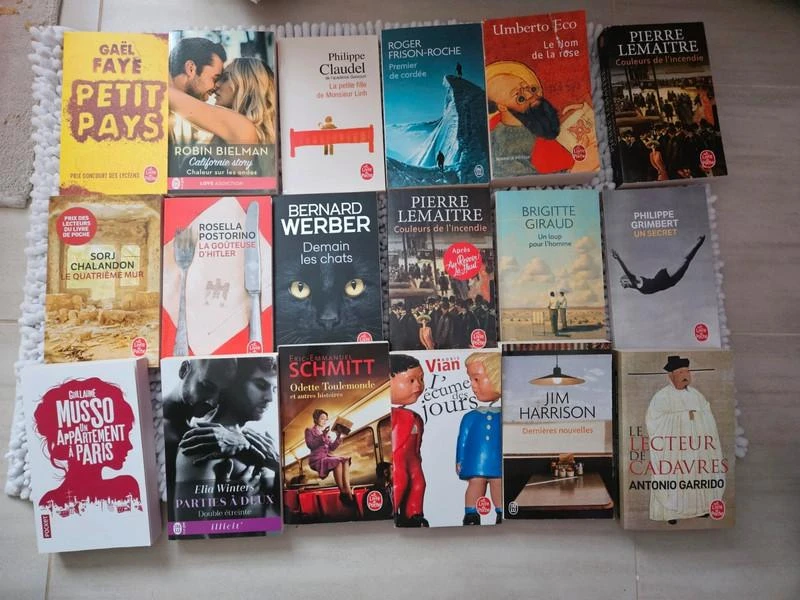 Livres de poche, grand formats